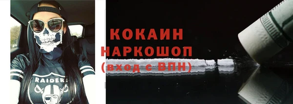 соль курить ск Каменка