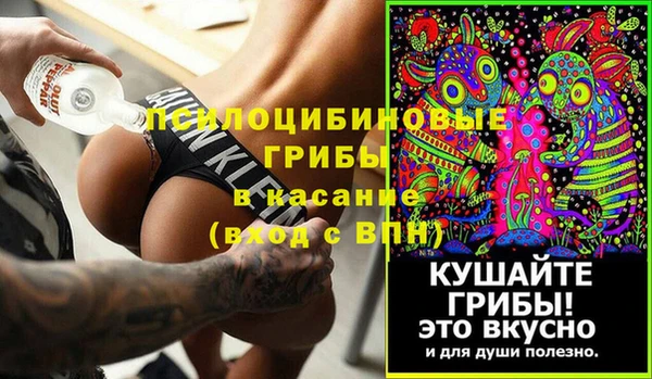 соль курить ск Каменка