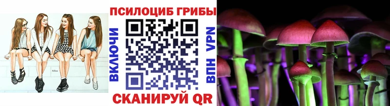 Купить где  Оленегорск  Галлюциногенные грибы Psilocybine cubensis 